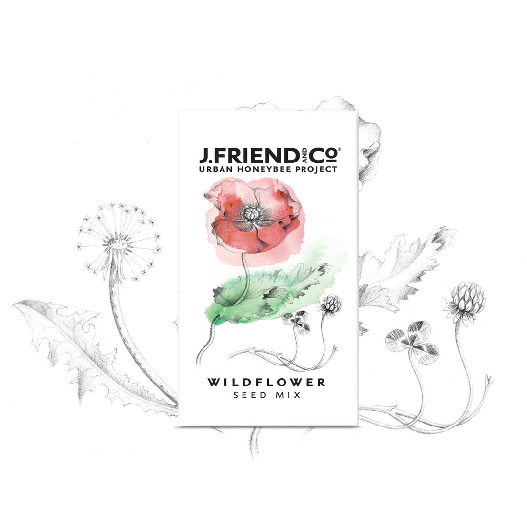 free wildflower seeds friends of the earth Bee Friendly Wildflower Seeds – J.Friend & Co