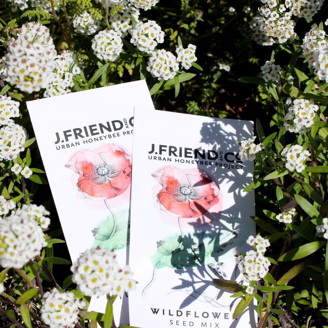 Bee Friendly Wildflower Seeds